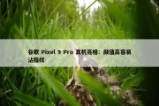 谷歌 Pixel 9 Pro 真机亮相：颜值高容易沾指纹