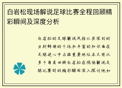 白岩松现场解说足球比赛全程回顾精彩瞬间及深度分析