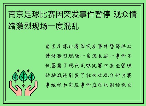 南京足球比赛因突发事件暂停 观众情绪激烈现场一度混乱