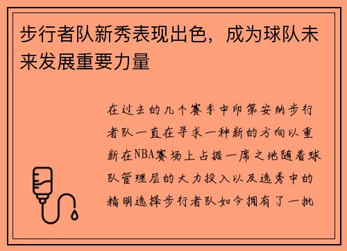 步行者队新秀表现出色，成为球队未来发展重要力量