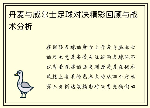 丹麦与威尔士足球对决精彩回顾与战术分析