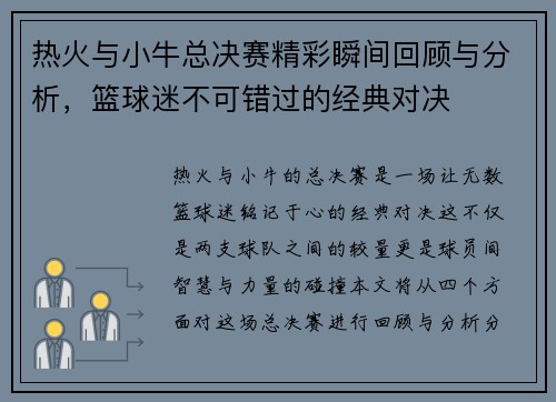 热火与小牛总决赛精彩瞬间回顾与分析，篮球迷不可错过的经典对决