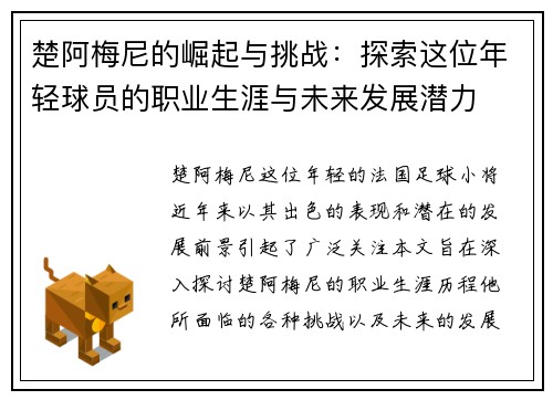 楚阿梅尼的崛起与挑战：探索这位年轻球员的职业生涯与未来发展潜力
